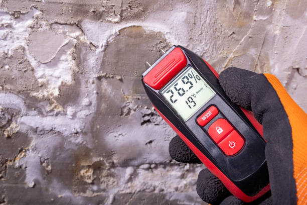 Best Black Mold Removal  in Kenedy, TX