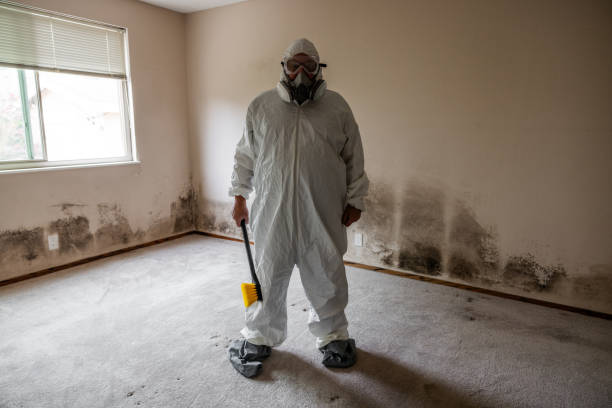 Best Fast Mold Removal  in Kenedy, TX